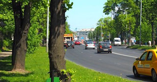 Посадка деревьев и кустарников в Малоярославце — стоимость от 1241 руб.